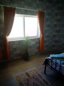 ein Schlafzimmer mit zwei Fenstern und einer Topfpflanze in der Unterkunft The Little B&B on the Hill in Wadi Musa