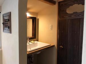 a bathroom with a sink and a mirror at 檸檬草ー奄美の自然の香る宿ー in Amami