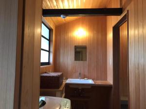 a small bathroom with a sink and a mirror at 檸檬草ー奄美の自然の香る宿ー in Amami