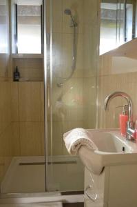a bathroom with a shower and a sink at Cloudland Garden Oasis in Blackheath