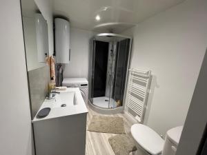 uma casa de banho com um chuveiro, um lavatório e um WC. em Le cocon du centre ville em Saint-Dizier