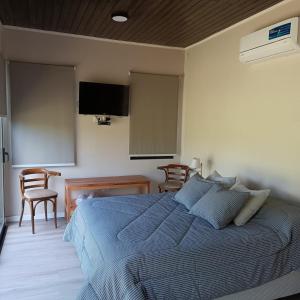 Schlafzimmer mit einem Bett, einem Schreibtisch und einem TV in der Unterkunft La Canaria Casa de Campo in Colonia Caroya