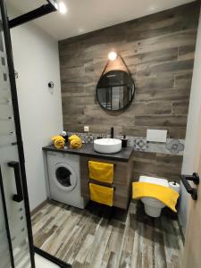 a bathroom with a sink and a washing machine at Studio Centre Ville Chinon in Chinon