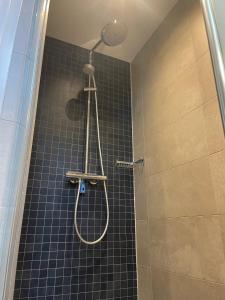 a shower with a shower head in a bathroom at Villa Vlinder in Otterlo