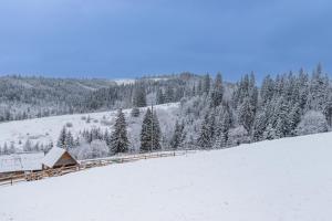 Шепіт Лісу durante l'inverno