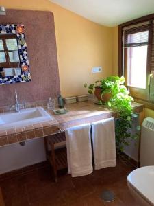 La salle de bains est pourvue d'un lavabo et d'une plante sur un comptoir. dans l'établissement Alfapinoalegre, à Alfacar