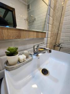 a bathroom sink with a faucet and a plant on it at FamilyConfort Saidia in Saïdia