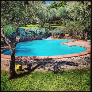 Pontelandolfo的住宿－La Locanda Della Presuntuosa，一座小游泳池,位于一个有树的院子内