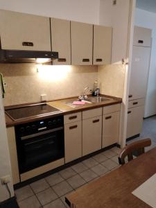 Kuchyň nebo kuchyňský kout v ubytování Ferienwohnung Pirkl