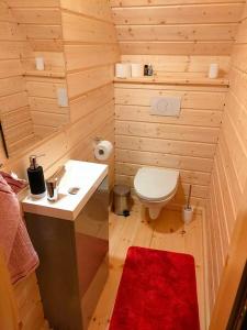 ウストシキ・ドルネにあるBIJAKÓWKAの小さなバスルーム(トイレ、シンク付)