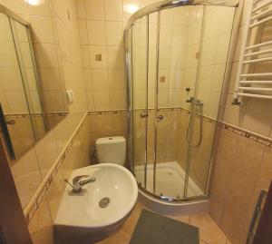 a bathroom with a sink and a shower and a toilet at Chata Zieleniecka in Duszniki Zdrój