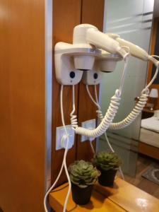 a landline phone with two plants on a table at Dzulstudio(Muslim) Nova Highland in Brinchang