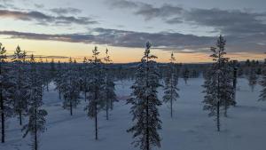 a group of trees in a snowy field with the sunset at Poolorama Lodge - with magnificent mountain view in Idre +26 photos