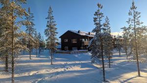 a log cabin in the snow with trees at Poolorama Lodge - with magnificent mountain view in Idre