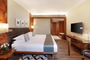 TV a/nebo společenská místnost v ubytování Hyatt Regency Delhi