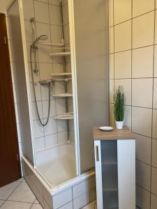 a shower in a bathroom with a glass door at Regenbogengasse in Schkeuditz