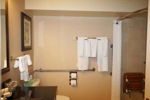 a bathroom with a toilet and a shower with towels at Wingate by Wyndham Bellingham Heritage Inn in Bellingham