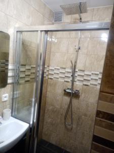 a shower with a glass door next to a sink at Apartament Karamba in Szklarska Poręba