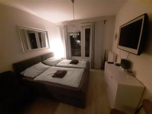 1 dormitorio con 1 cama grande y TV en Luxusní apartmán Rezidence 1351 en Pardubice