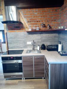 a kitchen with a sink and a stove at Apartament Karamba in Szklarska Poręba
