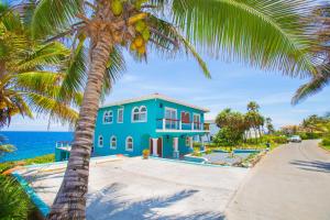 a blue house on the beach with a palm tree at Oceanfront Coral View Home in West Bay