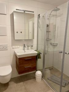 a bathroom with a shower and a sink and a toilet at Ferienwohnung Lilli inklusive Bad Hindelang Plus in Bad Hindelang