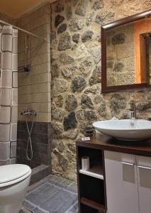 Baño de piedra con lavabo y aseo en Ocazzia of Parnassos, en Polydrosos