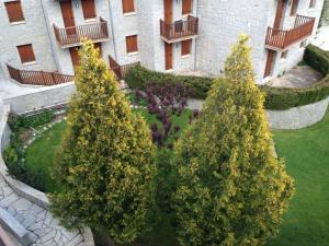 two trees in a yard in front of a building at Apartamento Pico de Alba in Benasque