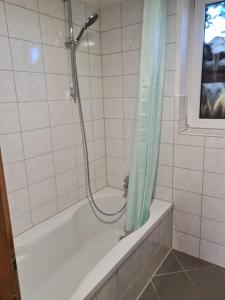 a bathroom with a shower with a shower curtain at Wölfersheim-Berstadt in Wölfersheim