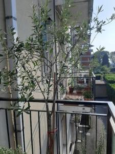 A balcony or terrace at MìCè ottima soluzione per il centro e la Svizzera