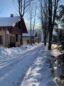una carretera cubierta de nieve frente a una cabaña en Полярис Polyaris, en Yaremche