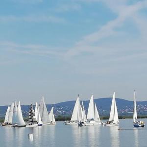 un gruppo di barche a vela su un grande bacino d’acqua di SeeYou Apartman Agárd ad Agárd