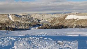 a view of a snow covered mountain with a ski slope at Voie Verte in Cornimont