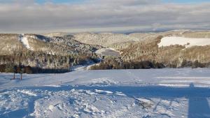 - une vue sur une montagne enneigée avec une piste de ski dans l'établissement Voie Verte, à Cornimont
