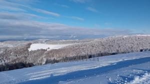 une colline enneigée avec une clôture au loin dans l'établissement Voie Verte, à Cornimont 3 autres photos