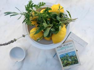 a bowl of lemons on a table with a book at Anticlea II in Vathi