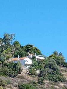 a house on top of a hill with trees at Giota & Antonia Apartments in Koroni