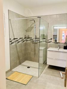 a bathroom with a shower and a sink at Appartement Riquet - centre ville, rdc, climatisé, jardin, parking privée in Castelnaudary