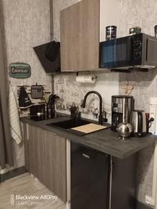 Η κουζίνα ή μικρή κουζίνα στο Studio Malou, cuisine, salle d'eau, terrasse amenagée +26 φωτογραφίες