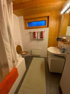 ein kleines Bad mit einem Waschbecken und einem WC in der Unterkunft Chalet , Thyon Les Collons, 4 Vallées in Les Collons