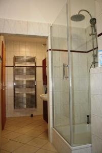 a bathroom with a shower and a sink at Villa Göltzschtalblick in Netzschkau