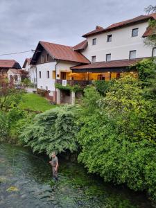 Κήπος έξω από το Krka River Lodge