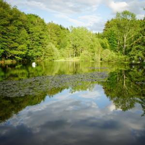 un lac avec des arbres et des nuages dans l'eau dans l'établissement L'Échappée belle à l'Étang d'Anty -appartement, à Saint-Nabord