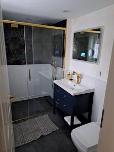 bagno con lavandino, doccia e servizi igienici di Elsdorf Stay a Elsdorf