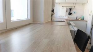 APPARTEMENT ENTIER A PARIS 2 PIECES PROCHE VOLTAIRE.