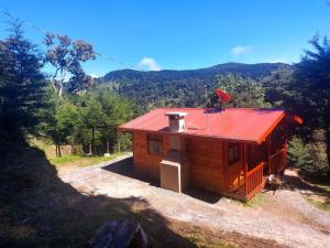 Cabaña de madera pequeña con techo rojo en Las Bromelias Lodge en Paso Macho
