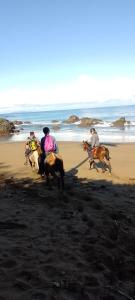 a group of people riding horses on the beach at cabins yafeth osa drake bay in Drake