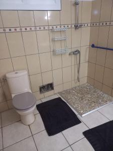 a bathroom with a shower with a toilet and a rug at Haut de Villa chez Ghighi in Abondance