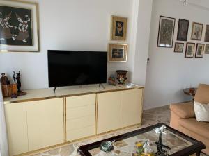 TV a/nebo společenská místnost v ubytování La Baronessa