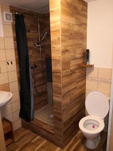 a bathroom with a shower with a toilet at Chata pod pilskom in Sihelné